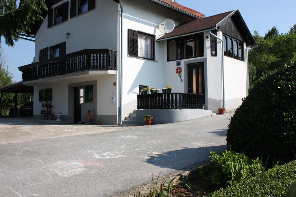 Apartment Jelena セリステ・ドゥレズニツコ 部屋 写真